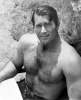 clint walker picture