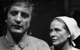 colleen dewhurst image