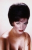 connie francis image4 connie francis image4
