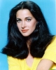 connie sellecca img