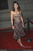 constance zimmer image2