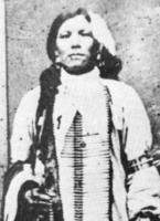 crazy horse
