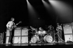 cream image1