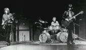 cream image2