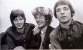 cream image4