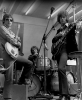 cream photo