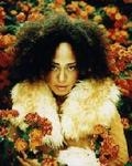 cree summer