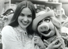 crystal gayle picture4