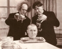 curly howard image
