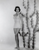 cyd charisse img
