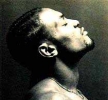 d angelo picture d angelo picture