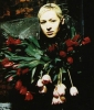 d arcy wretzky photo1