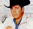 dale robertson image