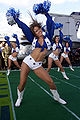 dallas cowboys cheerleaders