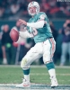 dan marino photo