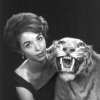 dana wynter photo1