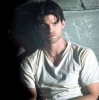 daniel gillies photo