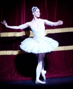 darcey bussell