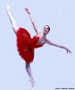 darcey bussell picture