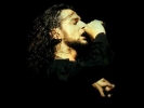 dave gahan photo1