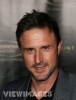 david arquette photo