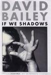 david bailey