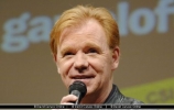 david caruso photo