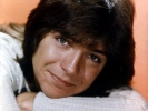 david cassidy photo1