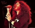 david coverdale img