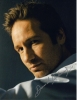 david duchovny picture3