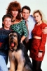 david faustino picture1