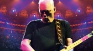 david gilmour photo1