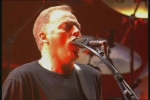 david gilmour picture4