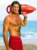 david hasselhoff photo1