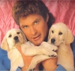 david hasselhoff picture
