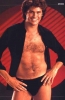 david hasselhoff picture2
