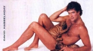 david hasselhoff picture3