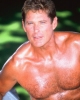 david hasselhoff picture4