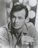 david janssen image3