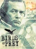 david janssen pic