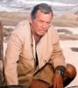 david janssen picture