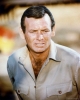 david janssen picture2