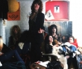 david johansen image