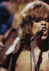 david johansen photo