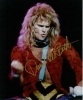 david lee roth image2