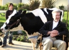 david lynch image