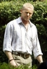 david morse image3
