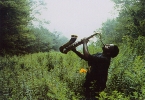 david murray image