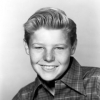 david nelson picture