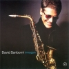 david sanborn picture